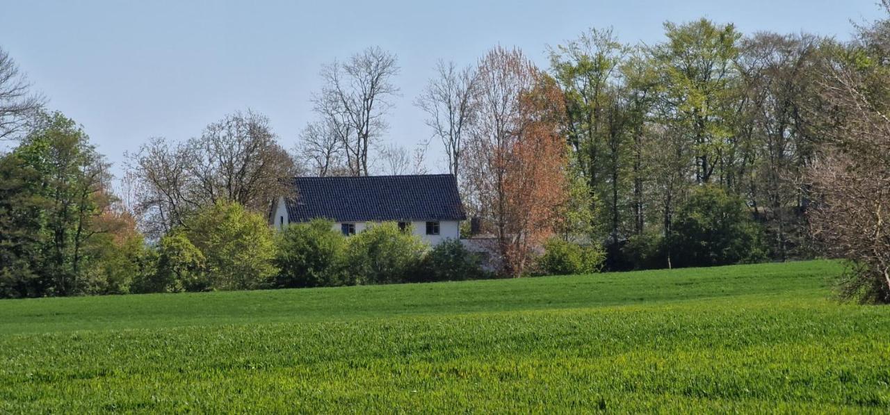 Ferienwohnung 'Gelting' - Refugium Pottloch Ostsee Kronsgaard Buitenkant foto